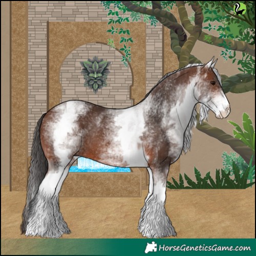 Horse Color:White Spotted Brown Rabicano 