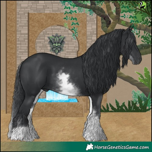 Horse Color:White Spotted Black 