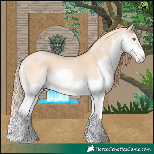 Horse Color:Buckskin Pearl Splash 