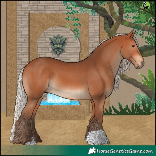 Horse Color:Silver Bay 