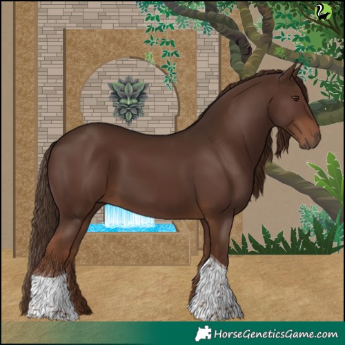 Horse Color:Liver Chestnut Tobiano 