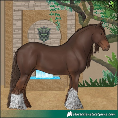 Horse Color:Liver Chestnut Tobiano