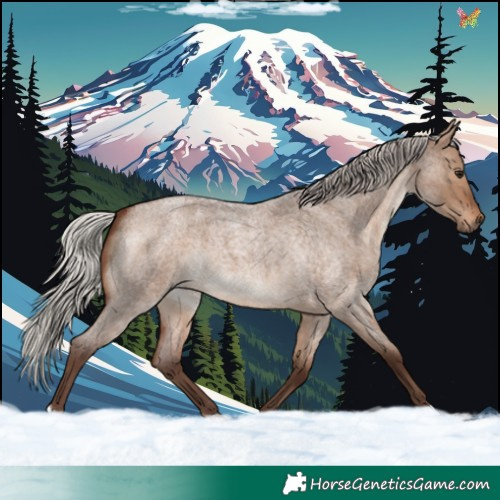 Horse Color:Silver Brown Roan Dun
