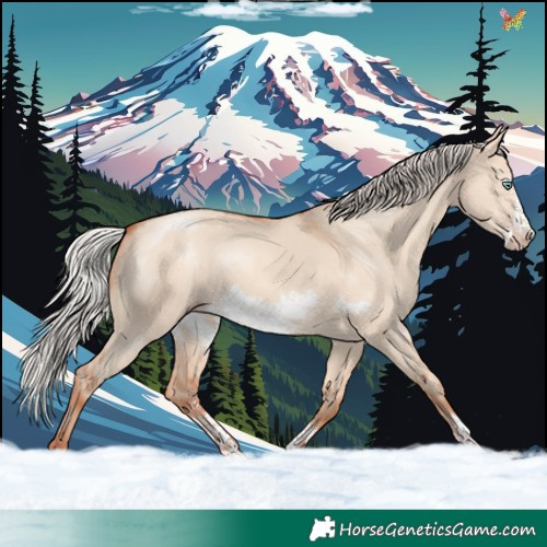 Horse Color:Silver Sable Champagne Dun Sabino Frame 