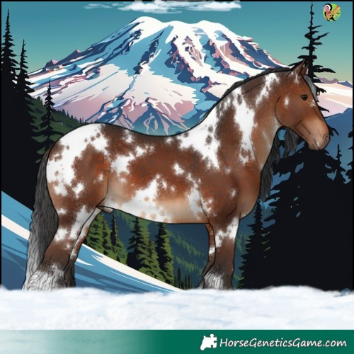 Horse Color:White Spotted Brown 