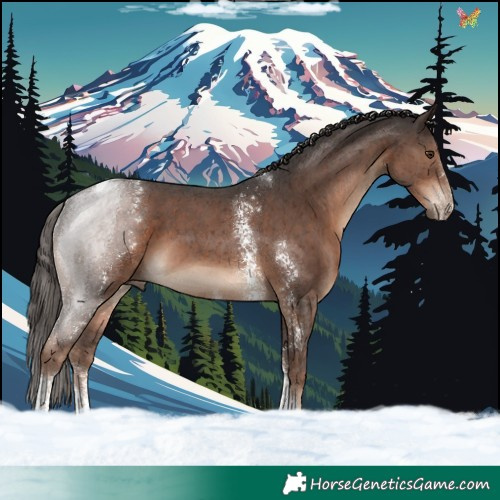 Horse Color:Liver Chestnut Sabino Tobiano 