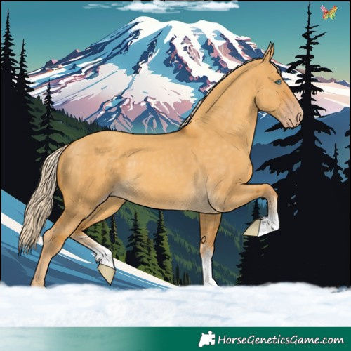 Horse Color:Gold Cream Champagne Dun Sabino Tobiano Rabicano 