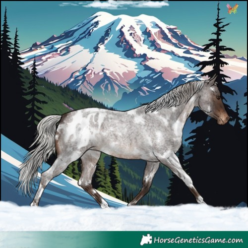 Horse Color:White Spotted Silver Bay Roan Varnish 