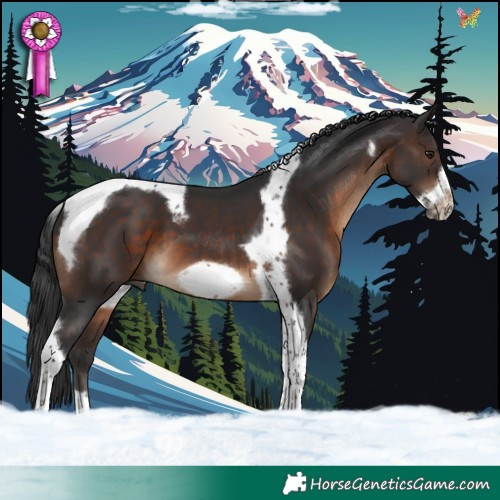 Horse Color:Brown Tobiano Frame 