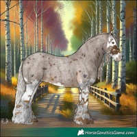 Horse Color:Chocolate Palomino Roan Splash 