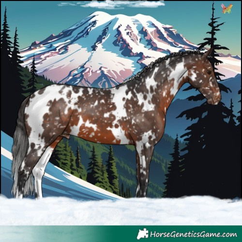 Horse Color:White Spotted Brown Snowflake Varnish 