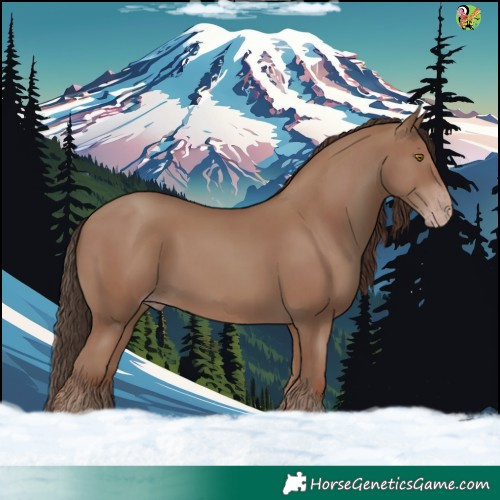 Horse Color:Classic Champagne 