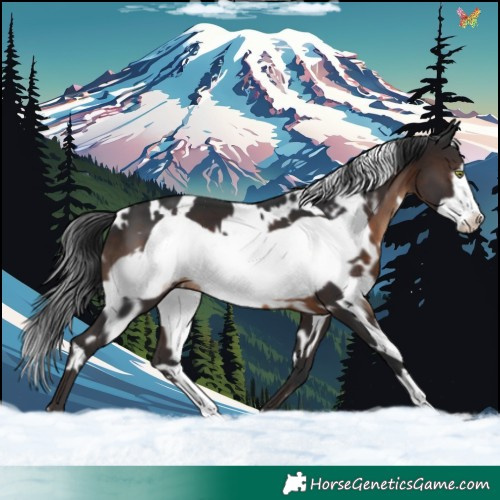 Horse Color:White Spotted Brown Frame 