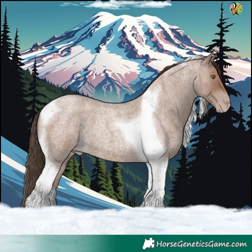 Horse Color:Classic Champagne Roan Tobiano 