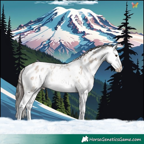 Horse Color:White Spotted Liver Red Dun Sabino Splash Near Leopard Rabicano 