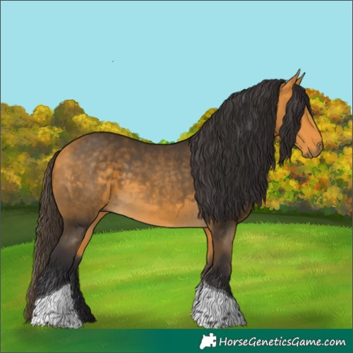 Horse Color:Buckskin Tobiano 