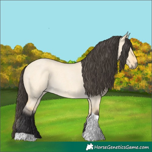 Horse Color:Buckskin Roan Dun Tobiano 