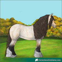 Horse Color:Buckskin Roan Dun Tobiano 