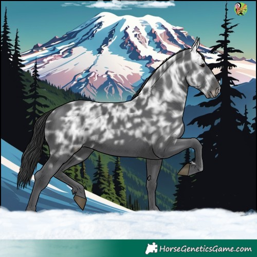 Horse Color:Black Ice