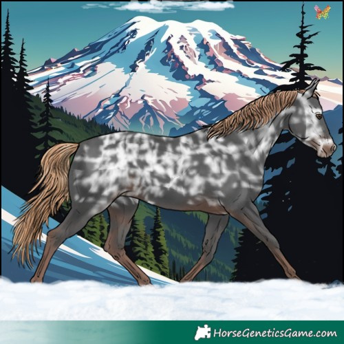 Horse Color:Liver Chestnut Ice 