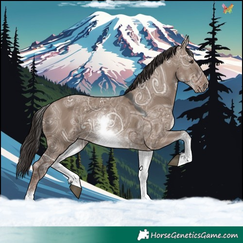 Horse Color:White Spotted Liver Red Dun Ice