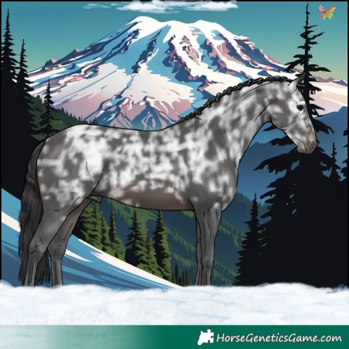 Horse Color:Brown Ice