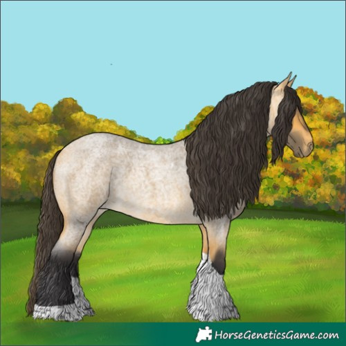 Horse Color:Buckskin Roan Tobiano 