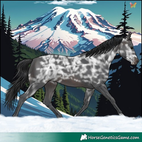 Horse Color:Brown Ice