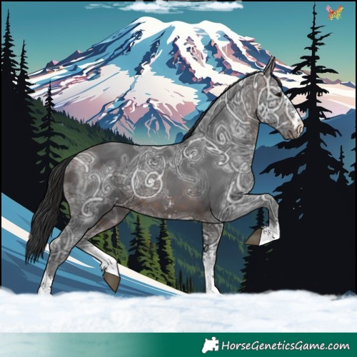 Horse Color:Brown Ice Sabino