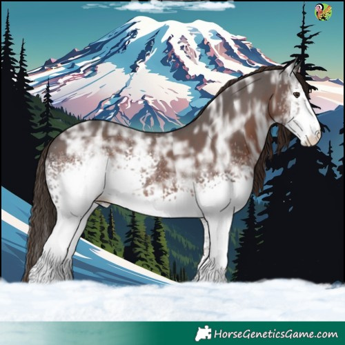 Horse Color:White Spotted Liver Chestnut Ice