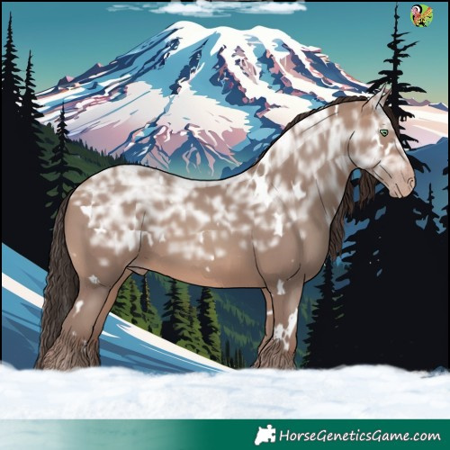 Horse Color:White Spotted Sable Champagne Ice