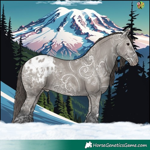 Horse Color:Smoky Grullo Ice Appaloosa 
