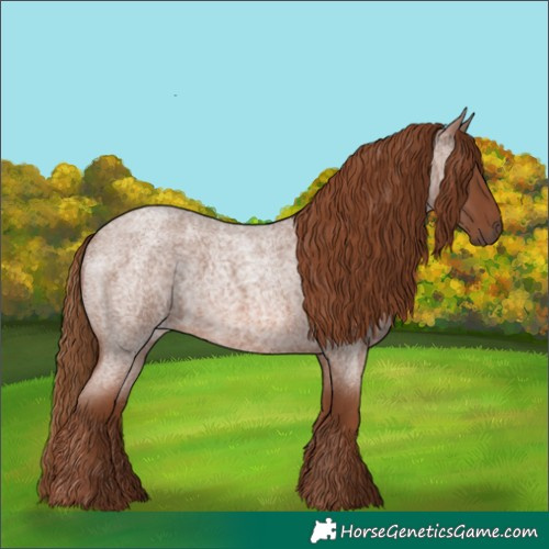 Horse Color:Red Roan 