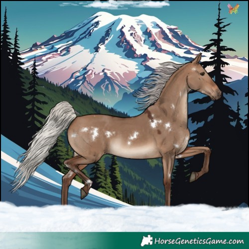 Horse Color:White Spotted Silver Brown Dun Rabicano 