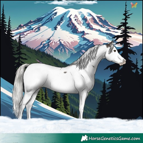Horse Color:Liver Chestnut Mushroom Splash Tobiano 