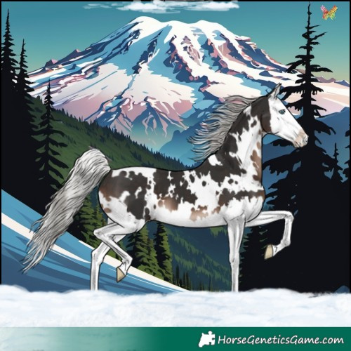 Horse Color:White Spotted Liver Chestnut Mushroom Splash 