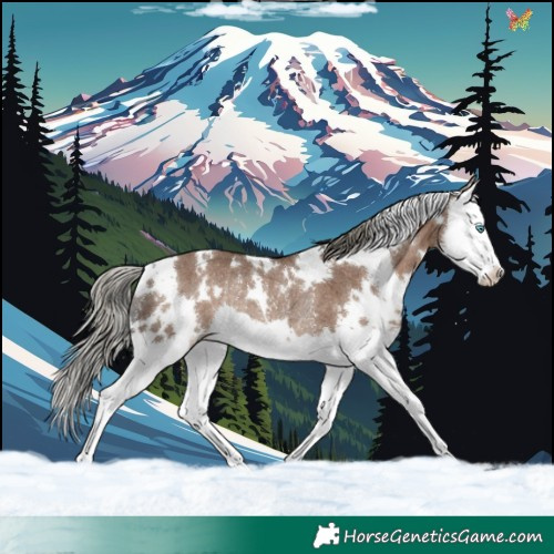 Horse Color:White Spotted Liver Red Dun Mushroom Splash Rabicano 