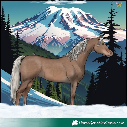 Horse Color:Liver Red Dun Mushroom