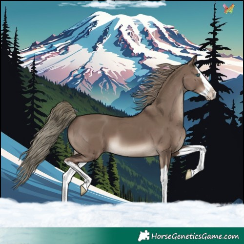 Horse Color:Liver Red Dun Mushroom Splash 