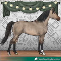 Horse Color:Bay Dun Rabicano 