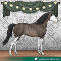 Horse Color:Brown Dun Splash Rabicano