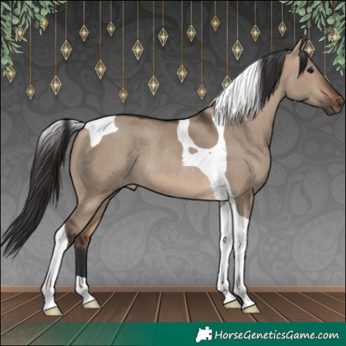Horse Color:Brown Dun Tobiano Rabicano