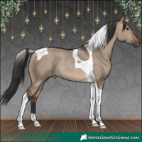 Horse Color:Brown Dun Tobiano Rabicano