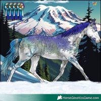 Horse Color:Watercolor Smoky Blue Onyx Ice Splash 