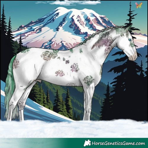 Horse Color:Watercolor Blue Onyx Ice Splash Tobiano 