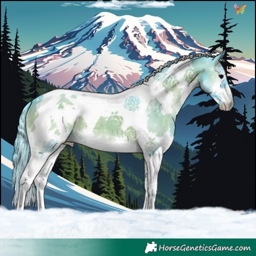 Horse Color:Watercolor Smoky Blue Onyx Splash Tobiano 