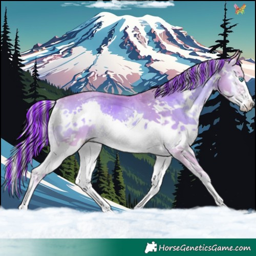 Horse Color:Painted Watercolor Palomino Onyx Splash 