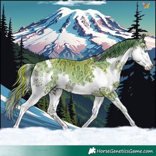 Horse Color:Painted Watercolor Blue Onyx Ice Splash Tobiano 