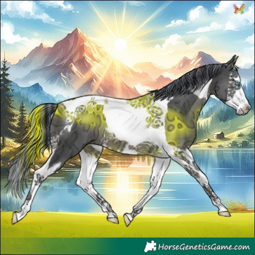Horse Color:Painted Black Ice Splash Tobiano 