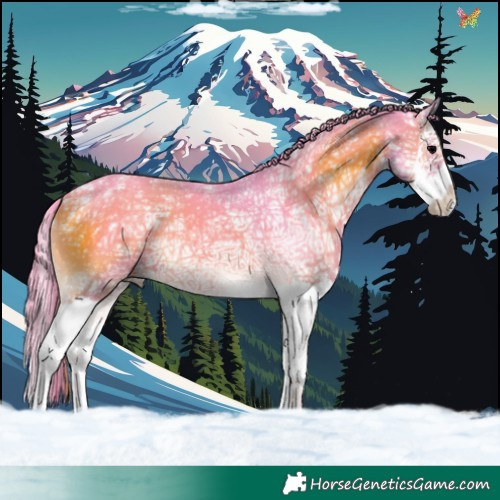 Horse Color:Watercolor Blue Onyx Ice Splash